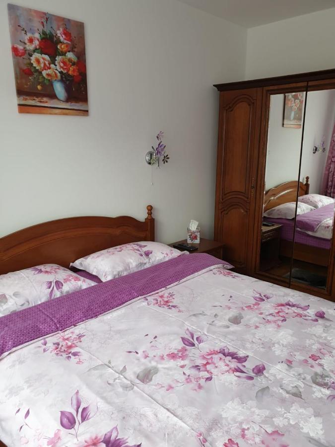 Sophie Apartament Apartment Sinaia Exterior photo