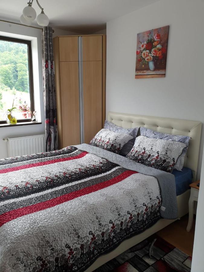 Sophie Apartament Apartment Sinaia Exterior photo