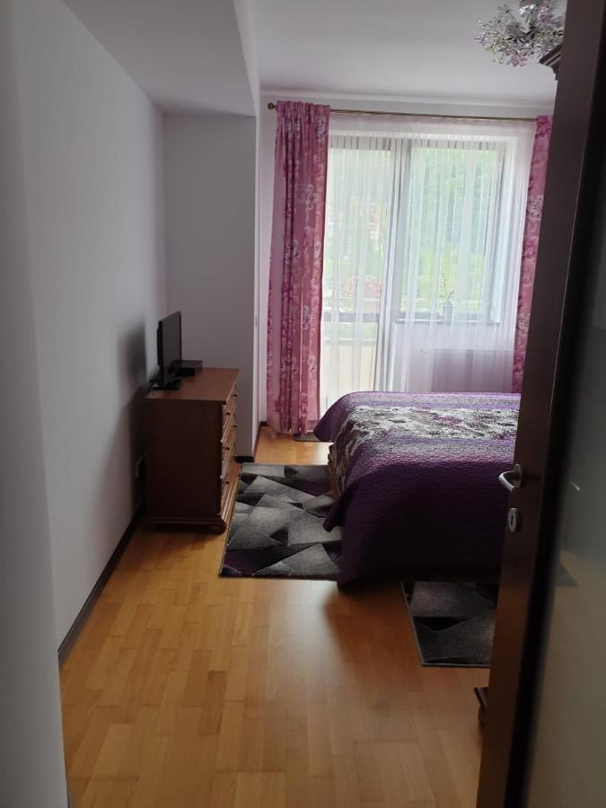 Sophie Apartament Apartment Sinaia Exterior photo